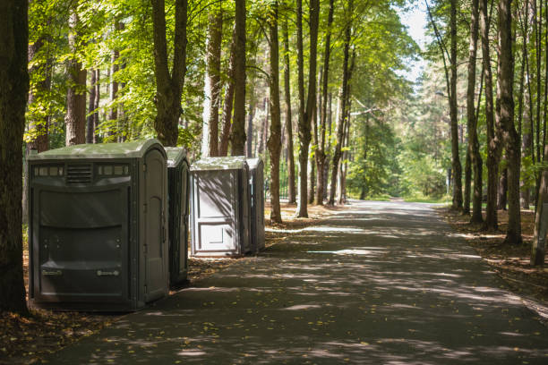 Best Luxury portable toilet rental  in Blairsville, PA